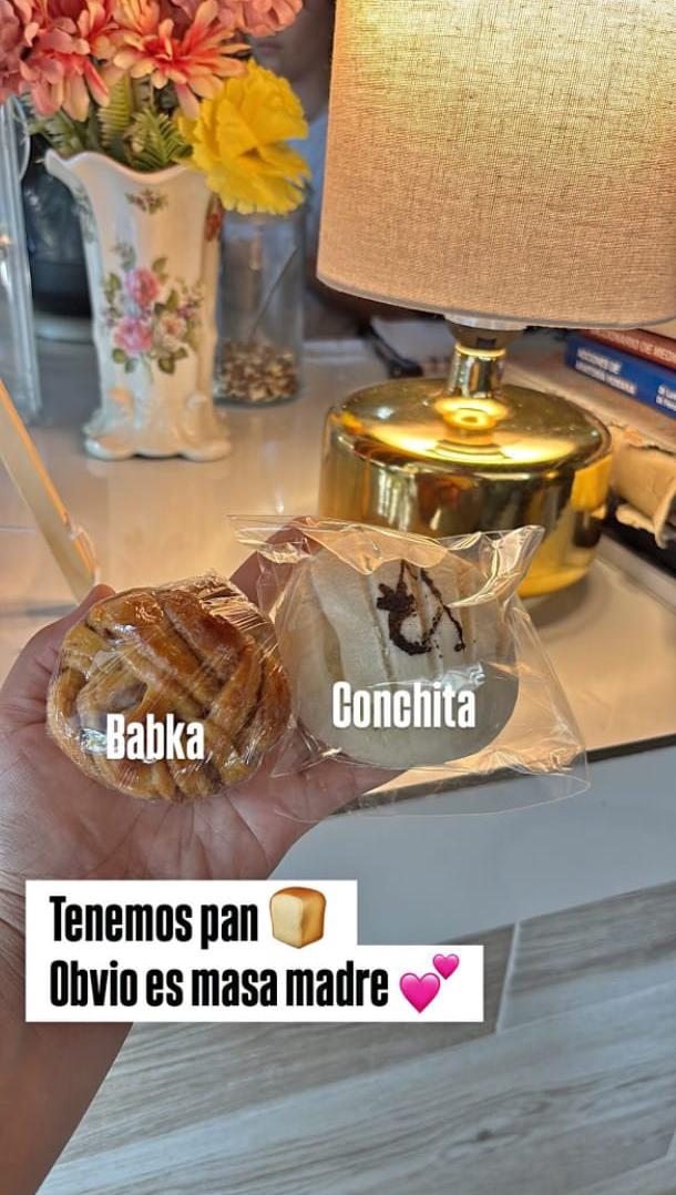 Babka y conchita de masa madre